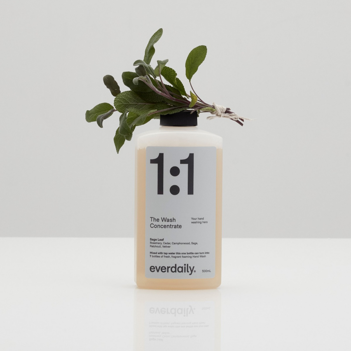 Starter Kit Hand Wash : Sage Leaf