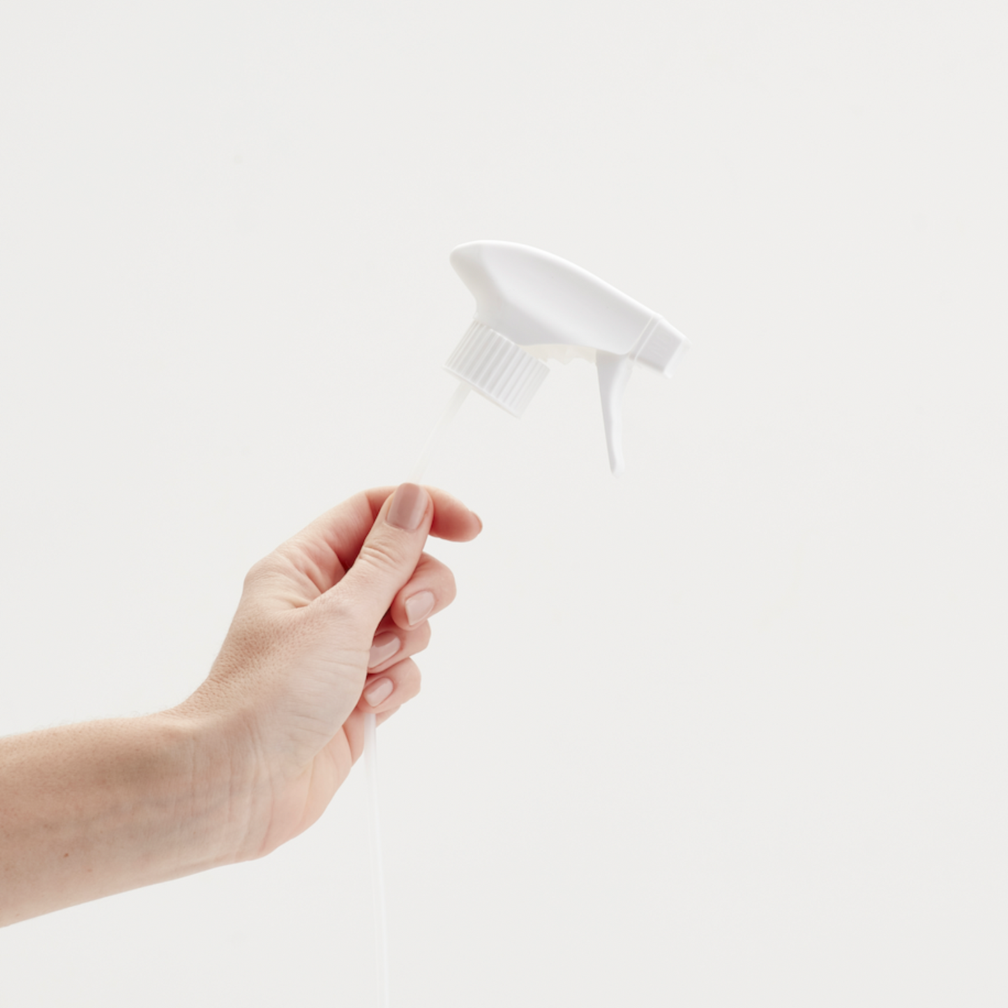 Sprayer : White